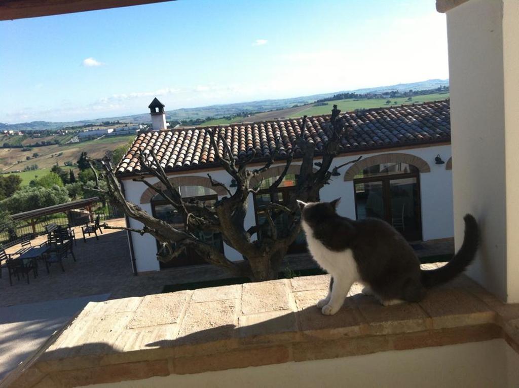Villa Coralia Agriturismo Osimo Exteriér fotografie