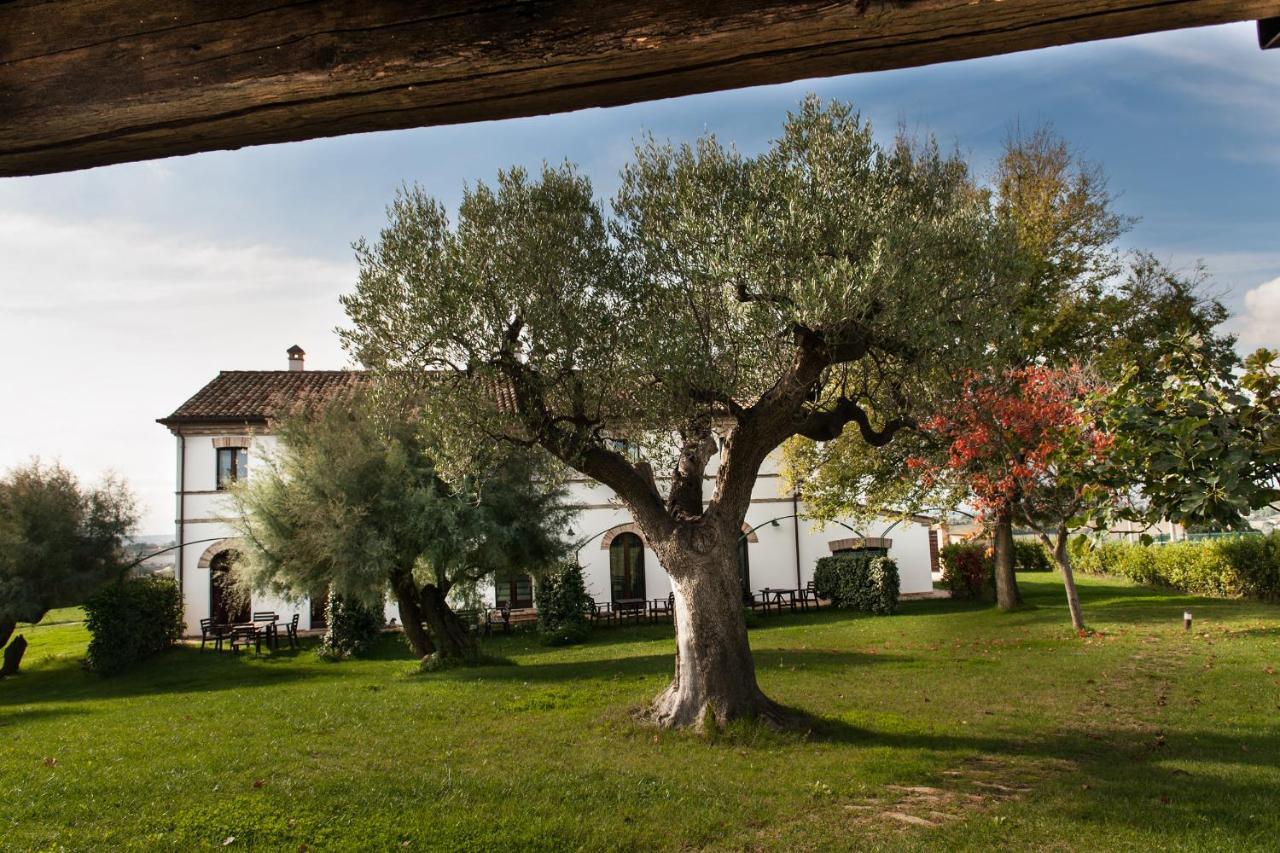 Villa Coralia Agriturismo Osimo Exteriér fotografie