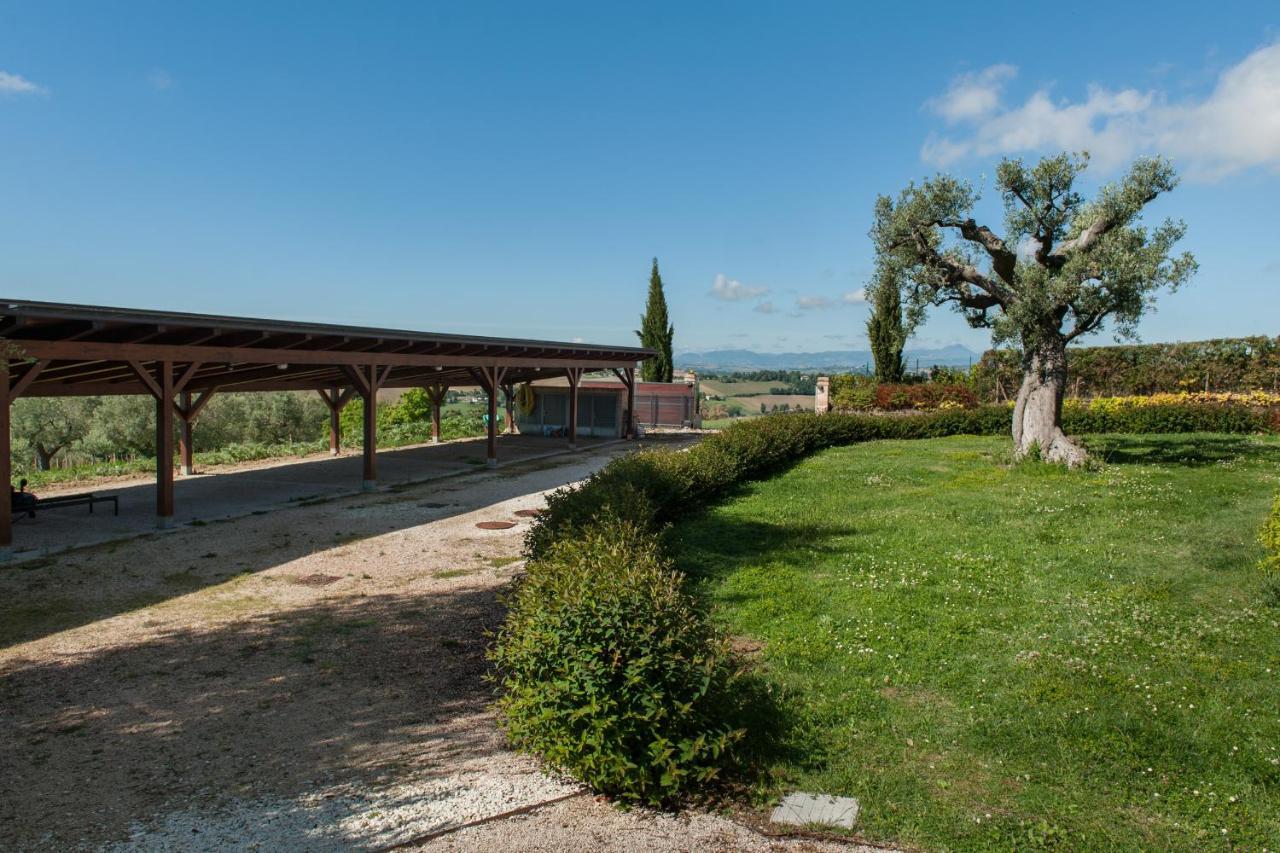 Villa Coralia Agriturismo Osimo Exteriér fotografie