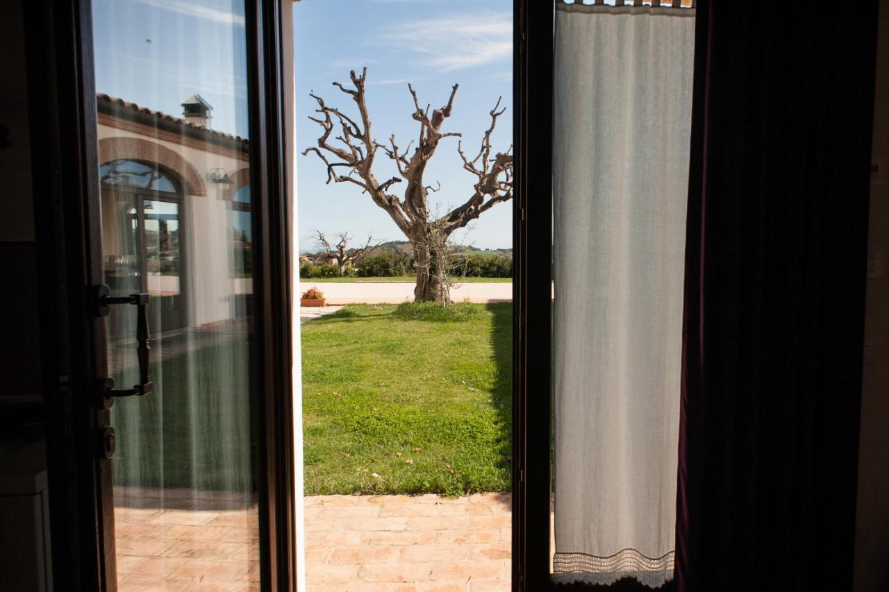 Villa Coralia Agriturismo Osimo Exteriér fotografie